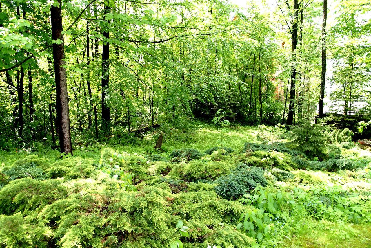 Domek Drewniany Tetmajera Centrum Zakopane Luaran gambar